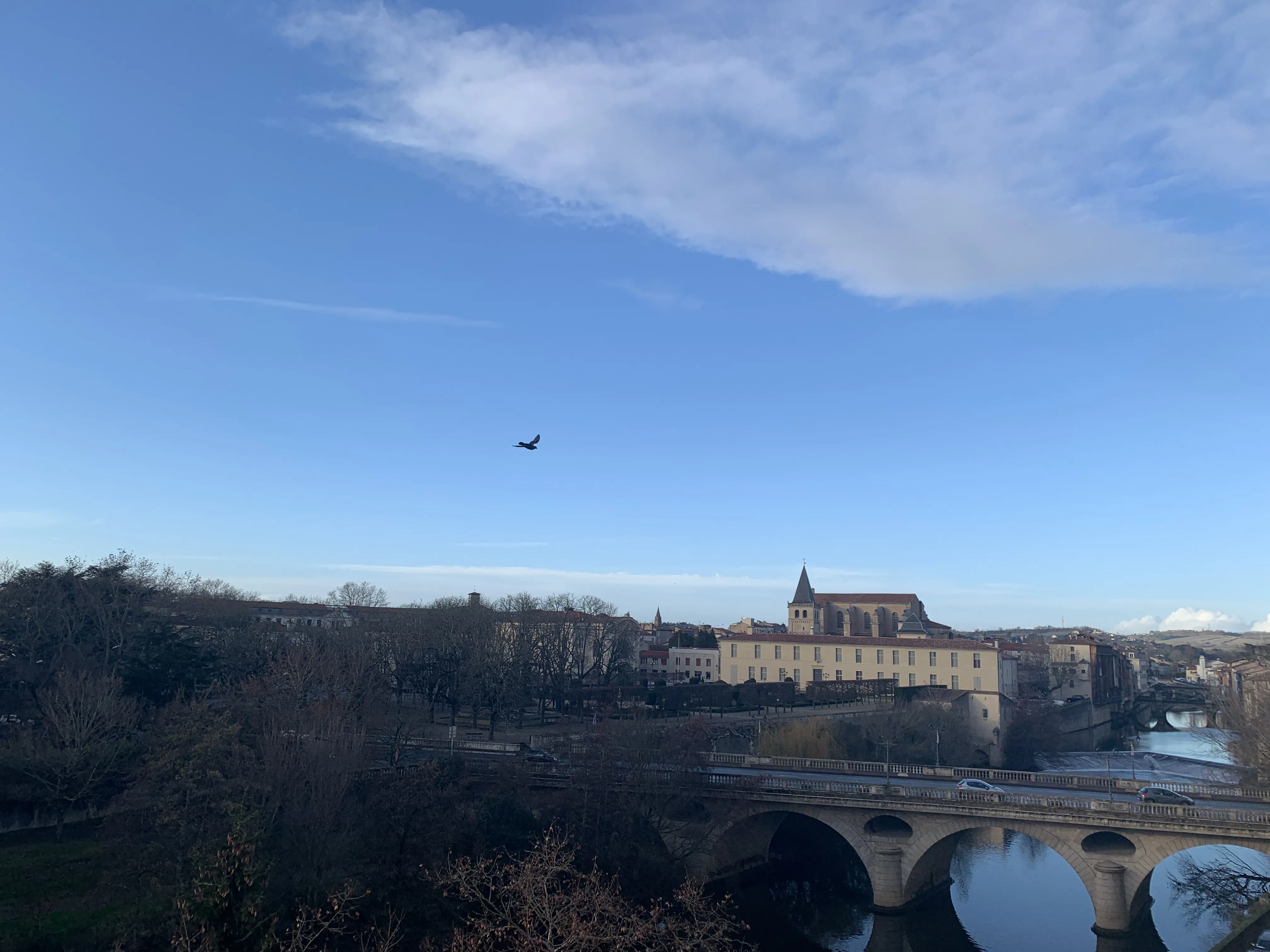 Vue panoramique sur Castres, le pont et la cathédrale